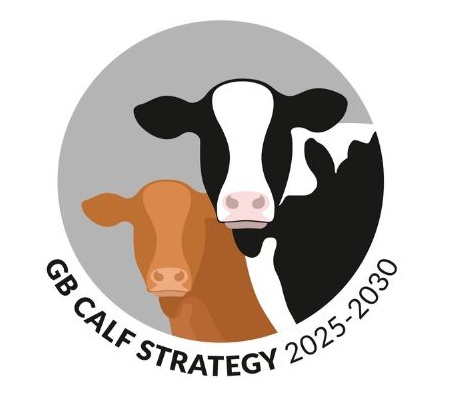 GB calf strategy logo 2025 to 2030.